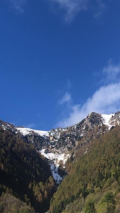 Il Sole Di Ester Branzi Luaran gambar